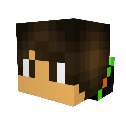 Diloraptor0 Minecraft avatar head, 3D render
