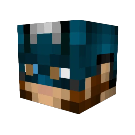 Dilraaj Minecraft avatar head, 3D render