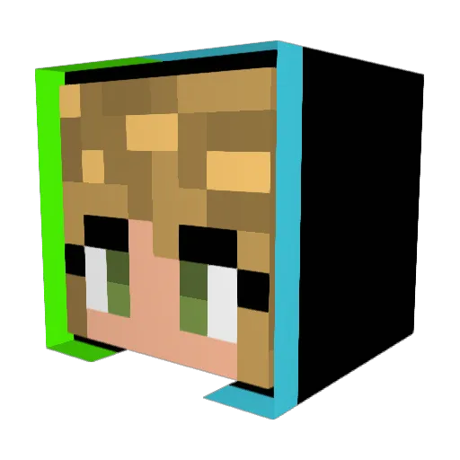Dily8 Minecraft avatar head, 3D render