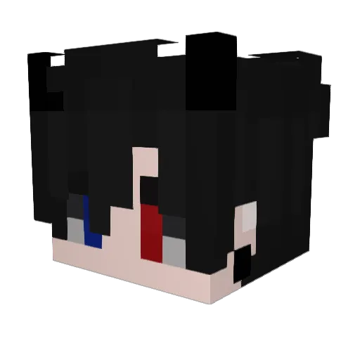 Dim481_ Minecraft avatar head, 3D render