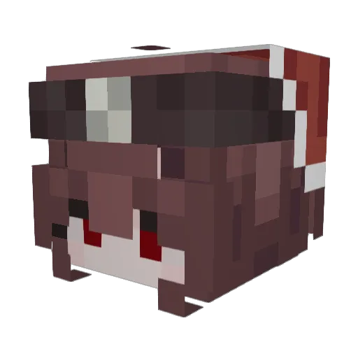 Dim4ezz Minecraft avatar head, 3D render
