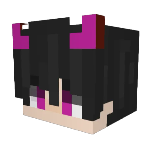 Dim9999 Minecraft avatar head, 3D render