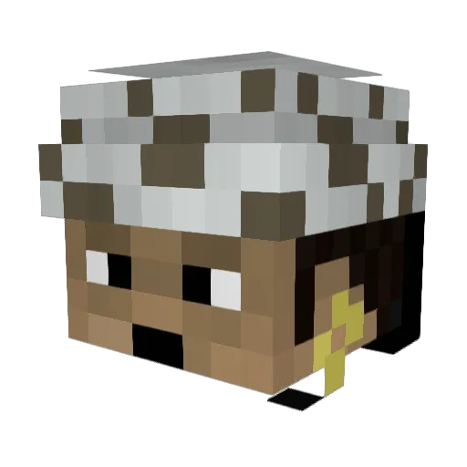 DimDelights Minecraft avatar head, 3D render