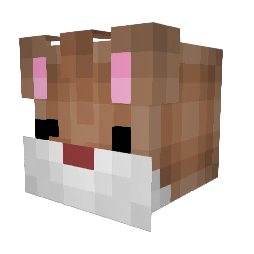 DimSumGimp Minecraft avatar head, 3D render