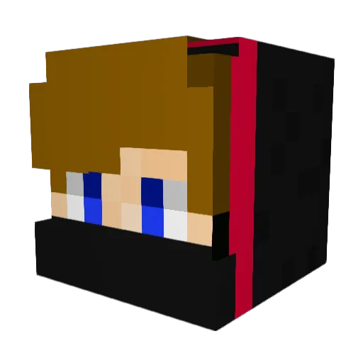 Dim_IsWinning Minecraft avatar head, 3D render