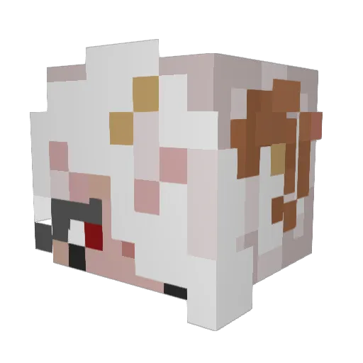 Dim_Ori Minecraft avatar head, 3D render