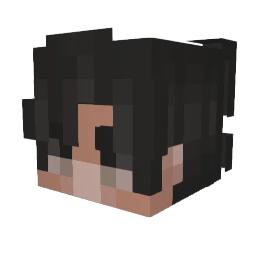 Dim_Stars Minecraft avatar head, 3D render