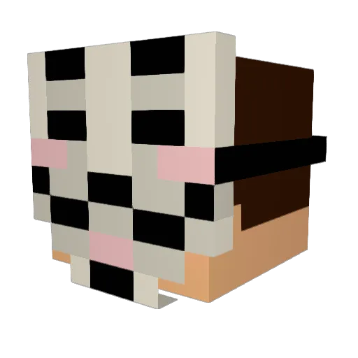 Dima81rus Minecraft avatar head, 3D render