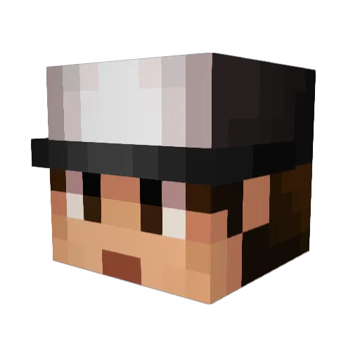 DimaProTop Minecraft avatar head, 3D render