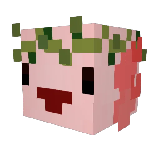 Dimbi Minecraft avatar head, 3D render