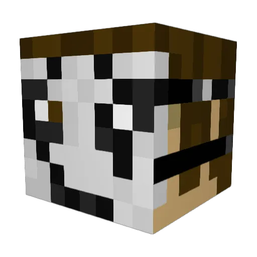 Dime142 Minecraft avatar head, 3D render