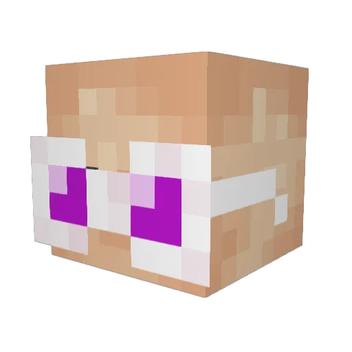 Dimenchi Minecraft avatar head, 3D render