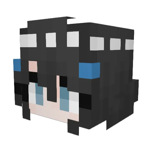 DimensionStudio Minecraft avatar head, 3D render