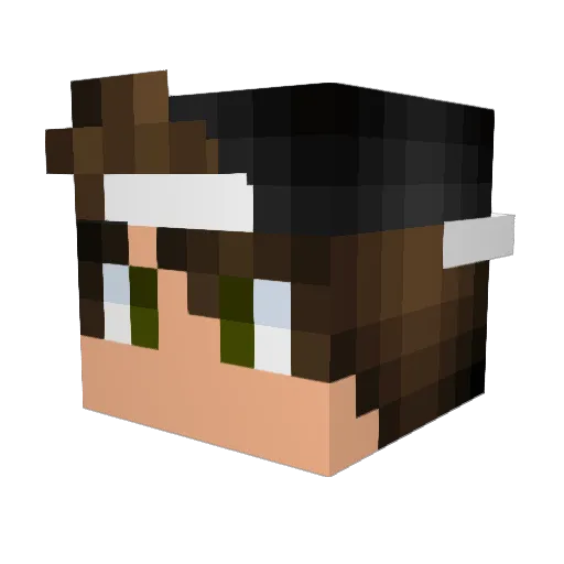 Dimension_Jester Minecraft avatar head, 3D render