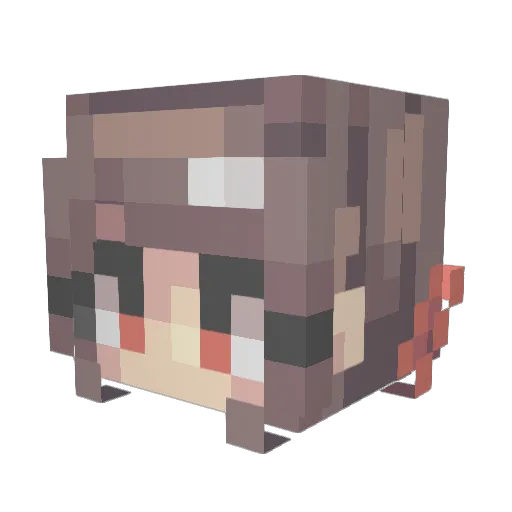 DimentOwO Minecraft avatar head, 3D render