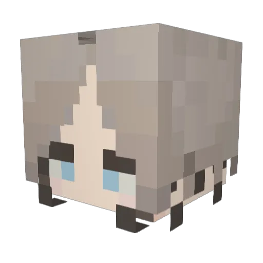 Dimer_456 Minecraft avatar head, 3D render