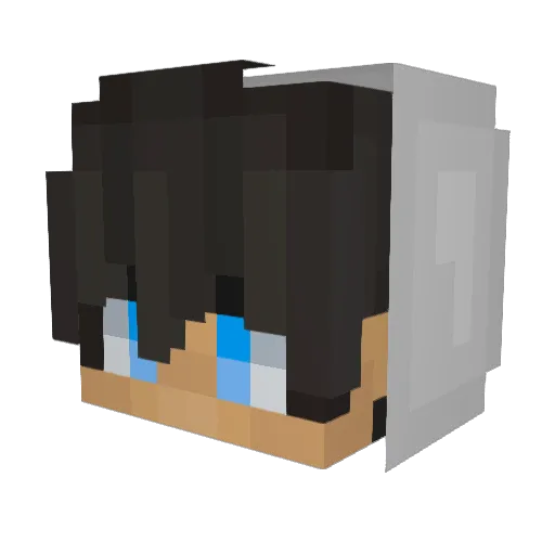 Dimi55 Minecraft avatar head, 3D render