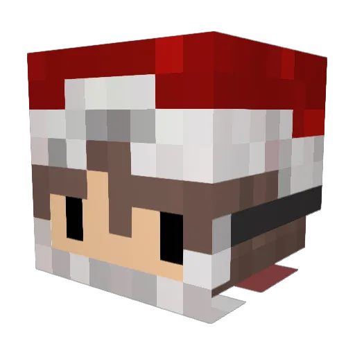 Dimi_19 Minecraft avatar head, 3D render
