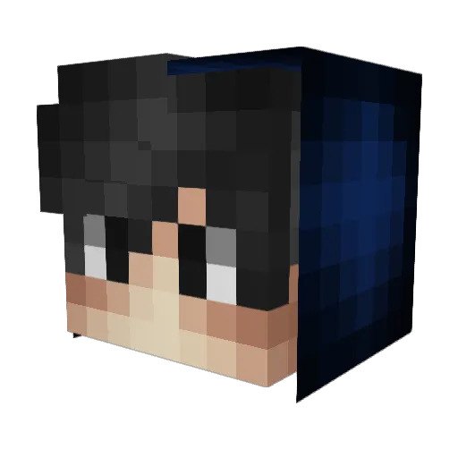 Dimidrol3000 Minecraft avatar head, 3D render