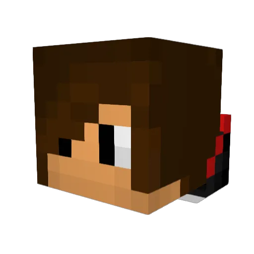 Dimidry Minecraft avatar head, 3D render
