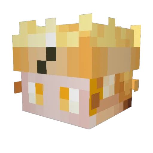 Dimipa Minecraft avatar head, 3D render