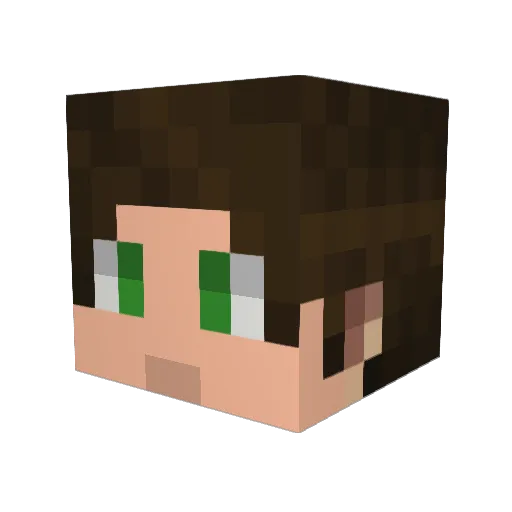 Dimizi Minecraft avatar head, 3D render
