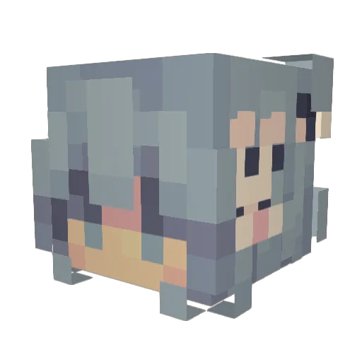 DimmyBug Minecraft avatar head, 3D render
