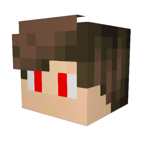 Dimo00 Minecraft avatar head, 3D render