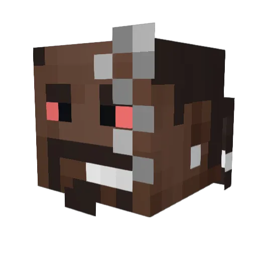 DimoWimoDimodyDo Minecraft avatar head, 3D render