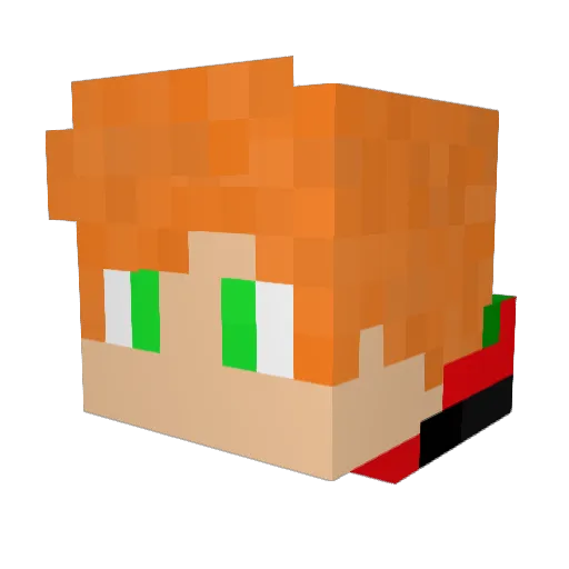 Dimon2008 Minecraft avatar head, 3D render