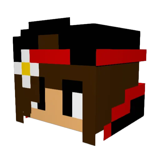 Dimpels Minecraft avatar head, 3D render