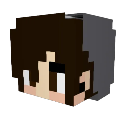 Dimple69 Minecraft avatar head, 3D render