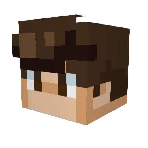 Dimus9311 Minecraft avatar head, 3D render