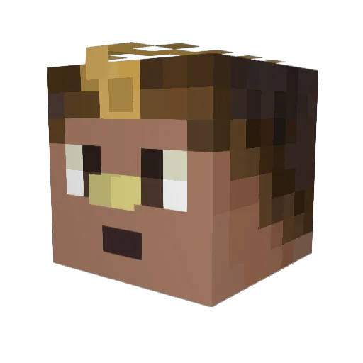 DimzFN Minecraft avatar head, 3D render