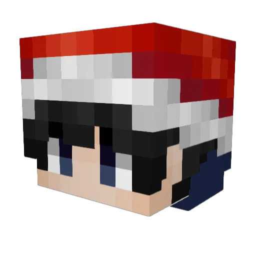 Dimz_ Minecraft avatar head, 3D render