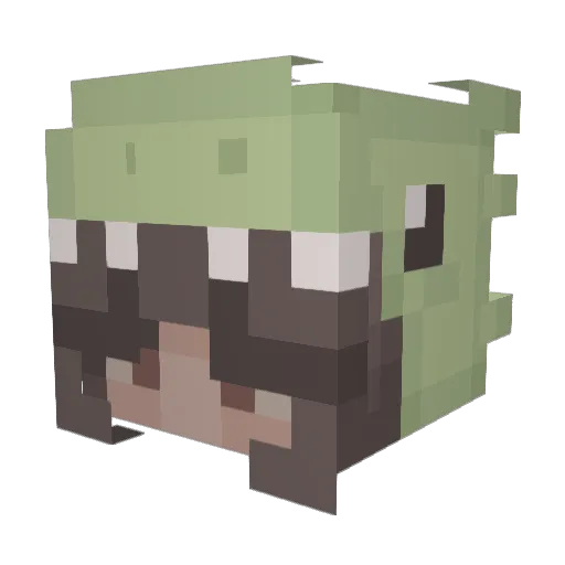 Din0_5aur Minecraft avatar head, 3D render