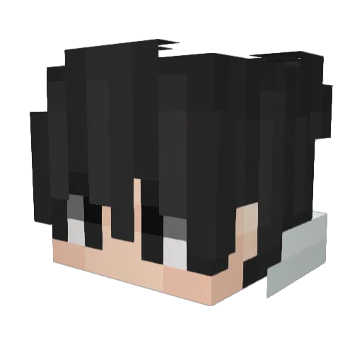 Din4635 Minecraft avatar head, 3D render