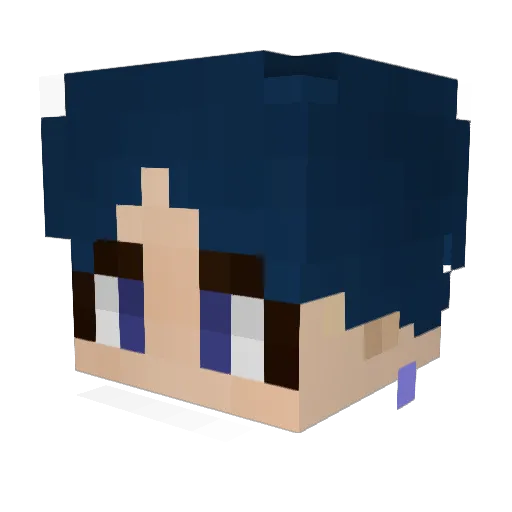 DinShim Minecraft avatar head, 3D render