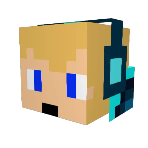 Din_Din15 Minecraft avatar head, 3D render