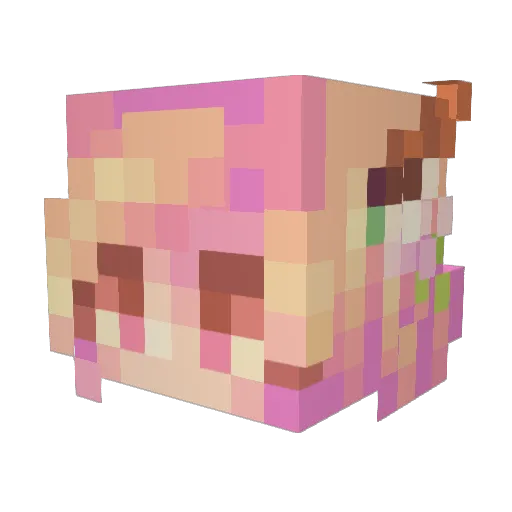 Dina0422 Minecraft avatar head, 3D render