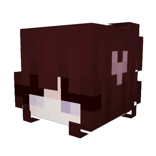 DinaStars_ Minecraft avatar head, 3D render