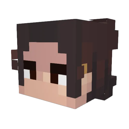 Dinaomi_MSY Minecraft avatar head, 3D render