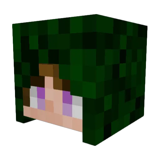 Dinen_ Minecraft avatar head, 3D render