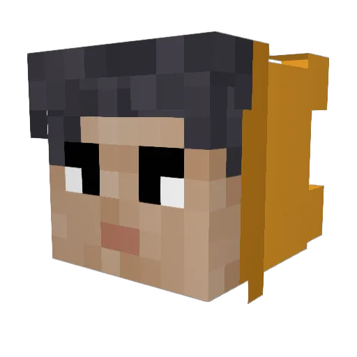 Dinesty Minecraft avatar head, 3D render