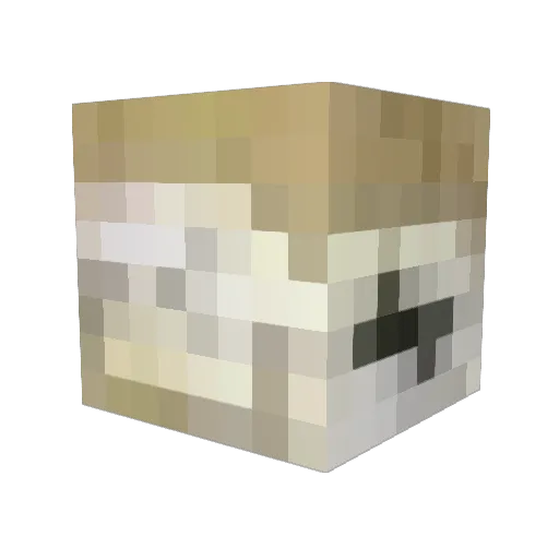 Dinfle Minecraft avatar head, 3D render