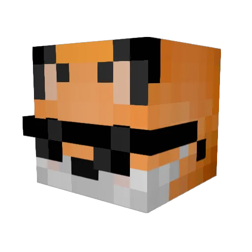 DingBatBalls Minecraft avatar head, 3D render
