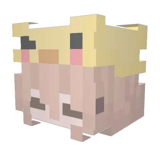 DingDingZoy Minecraft avatar head, 3D render