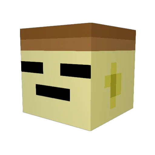 DingDongPin Minecraft avatar head, 3D render