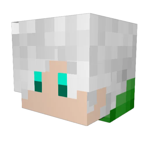 DingZheng0114 Minecraft avatar head, 3D render