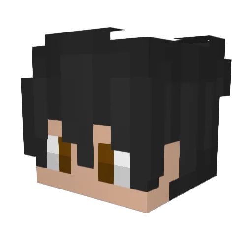 Dingadonga12 Minecraft avatar head, 3D render